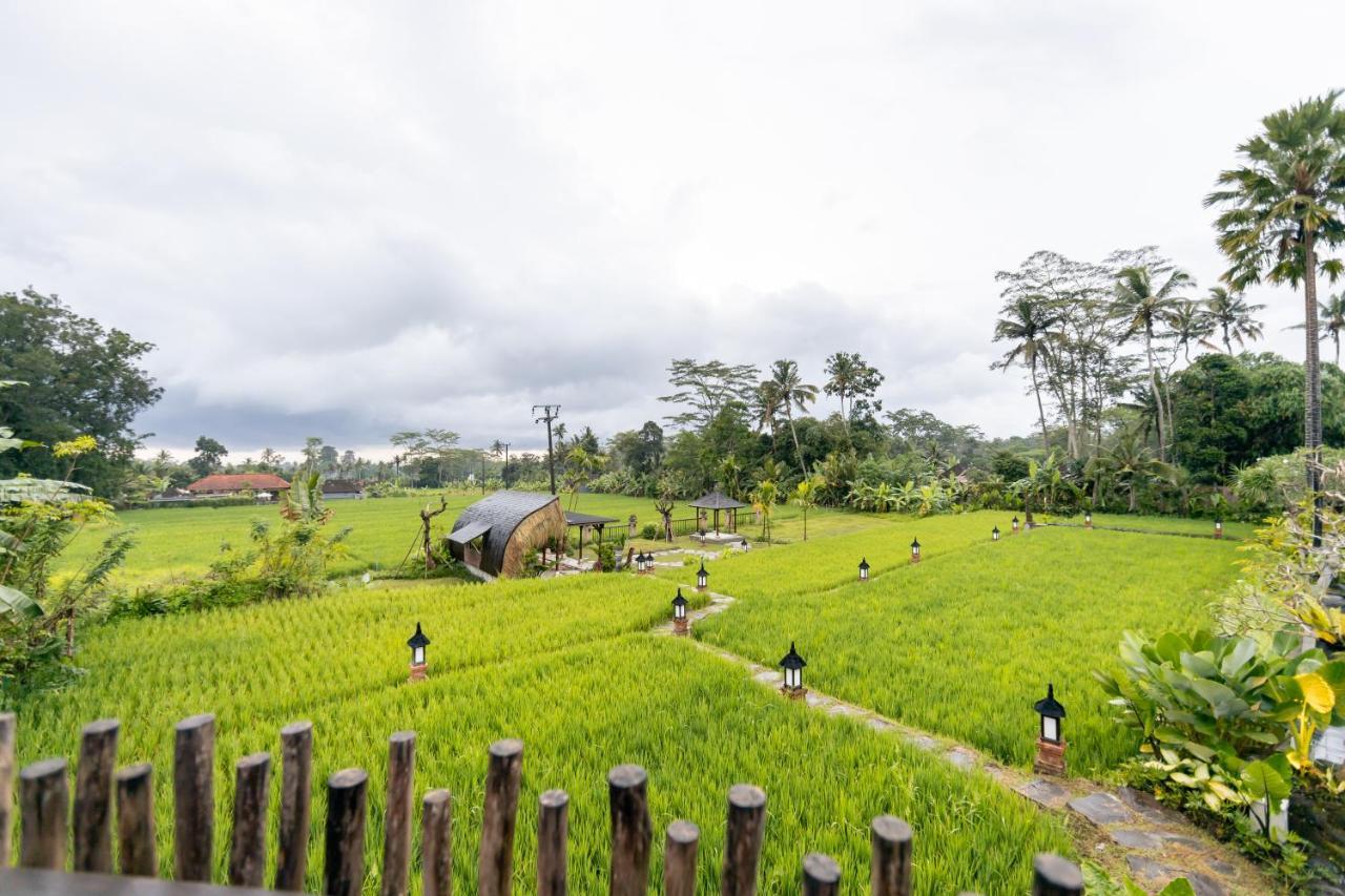 Anumana Village Ubud Esterno foto