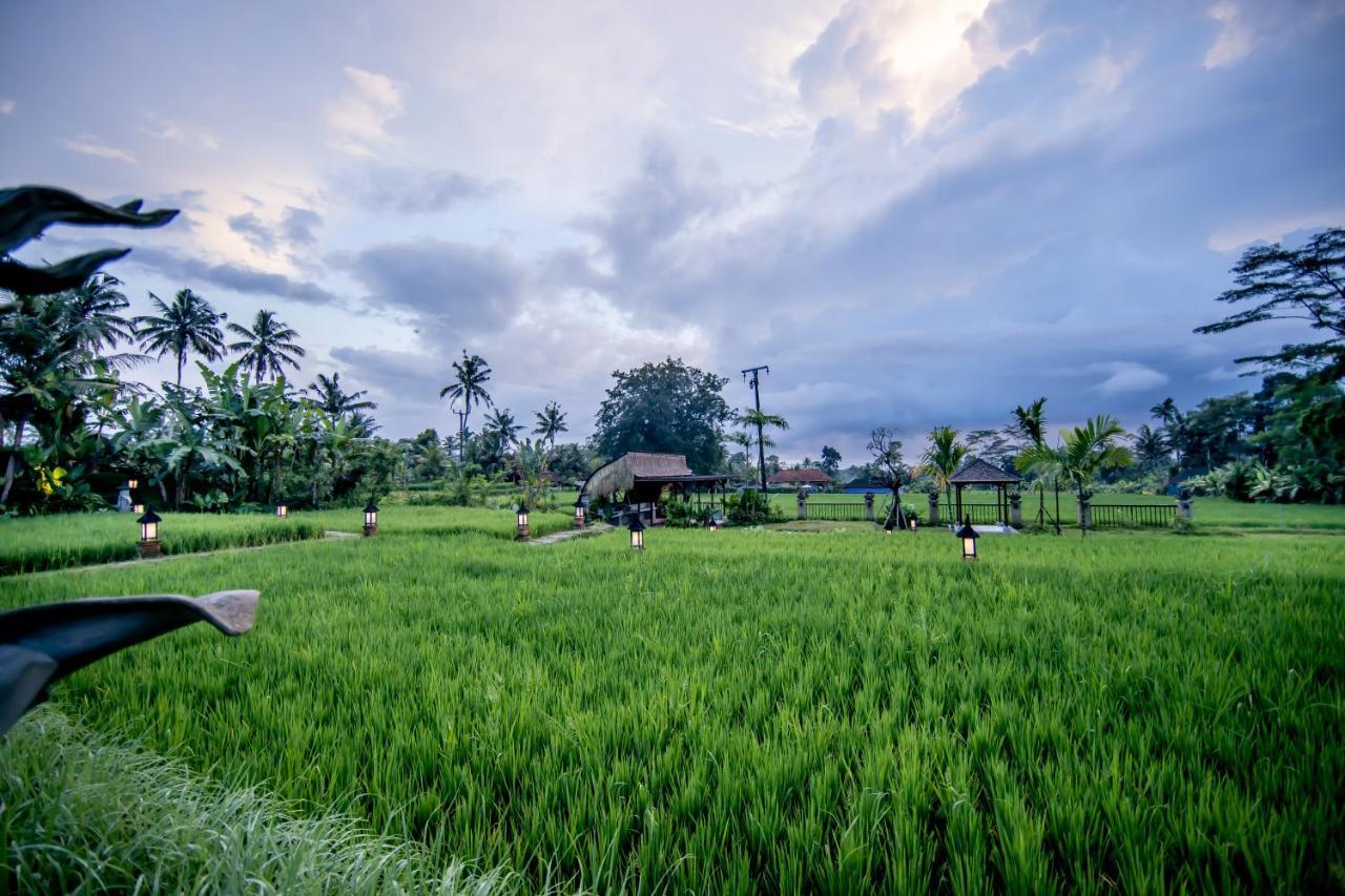 Anumana Village Ubud Esterno foto