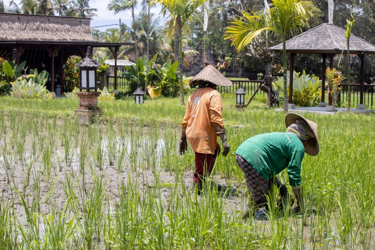 Anumana Village Ubud Esterno foto