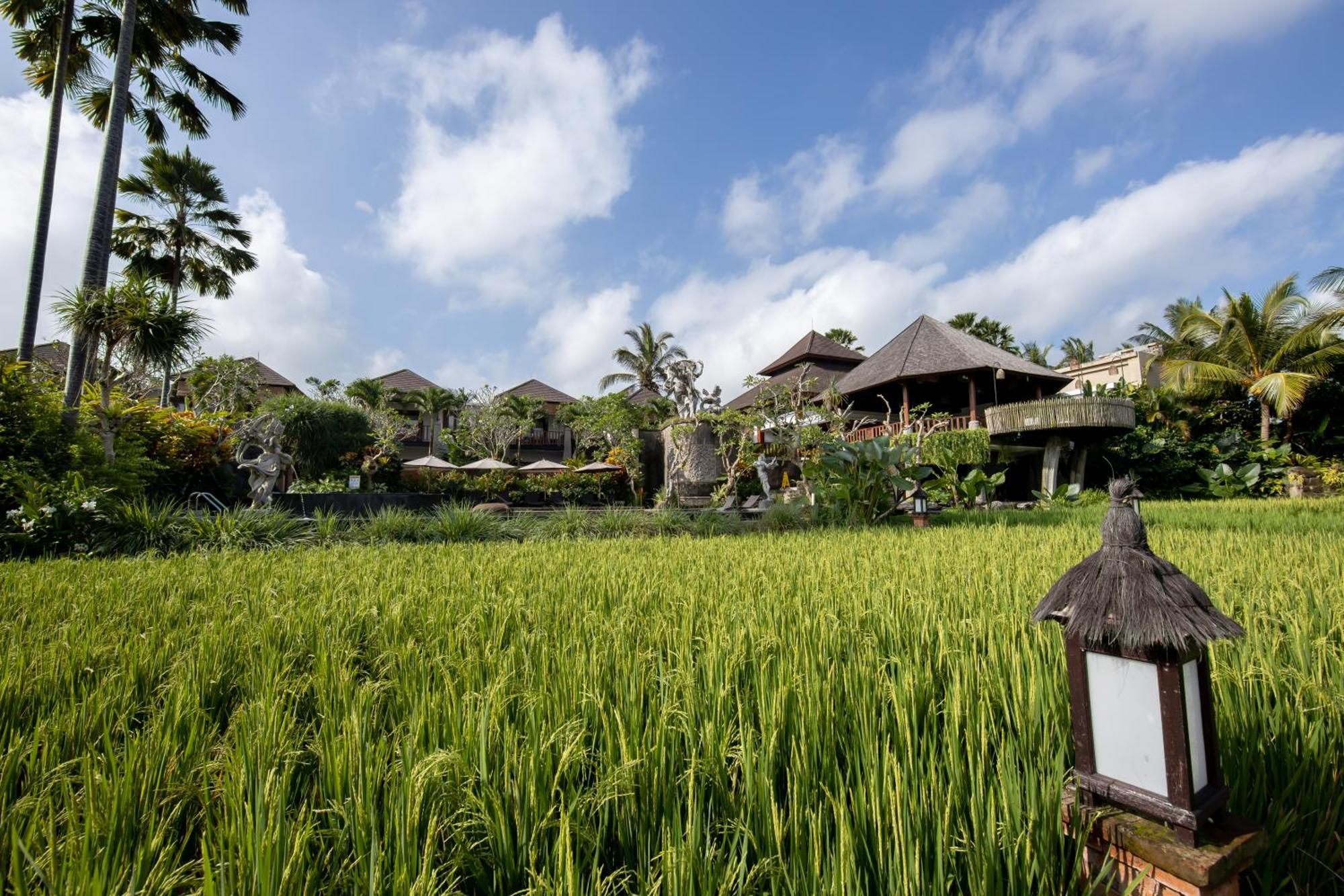 Anumana Village Ubud Esterno foto